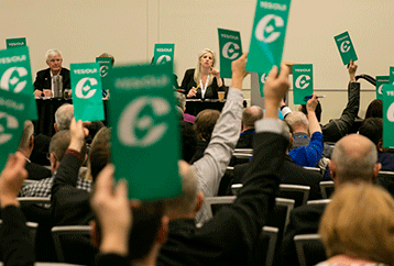 Policy, constitution discussions and voting